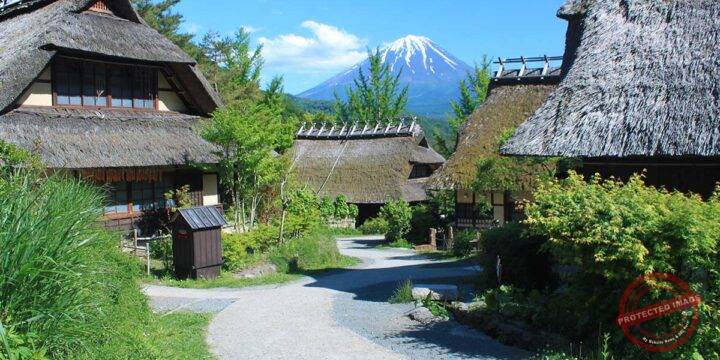 Saiko Iyashinosato Nemba