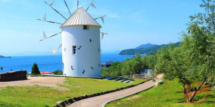 Olive Hill & Greek Windmill