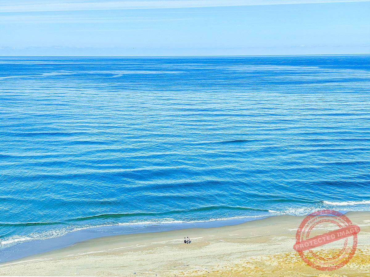 ● Tottori great sand dune (1)