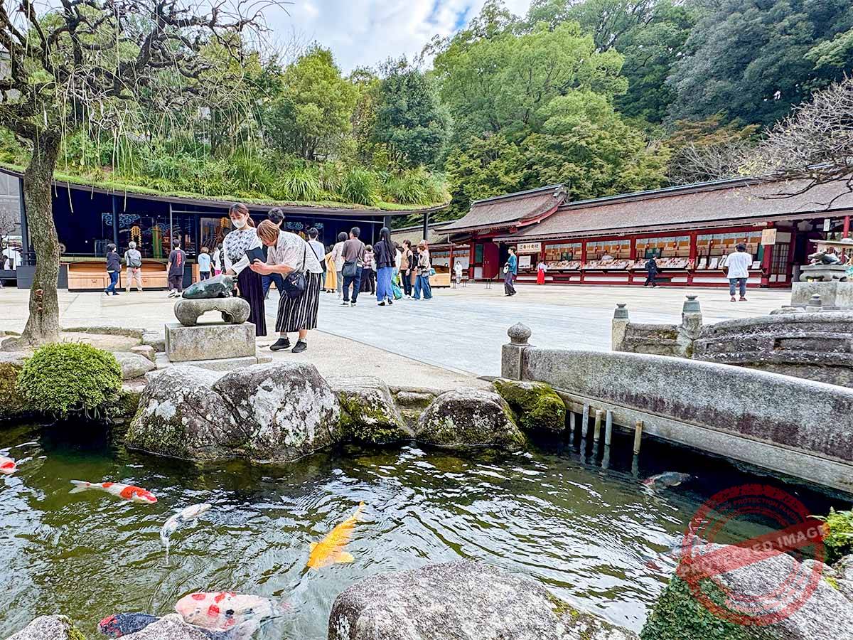 写真 10-19-25 8 25 31