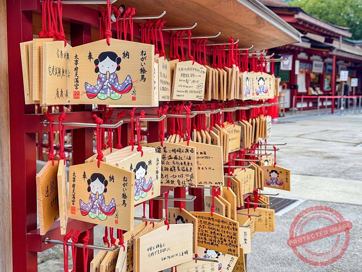 写真 10-19-25 8 26 25