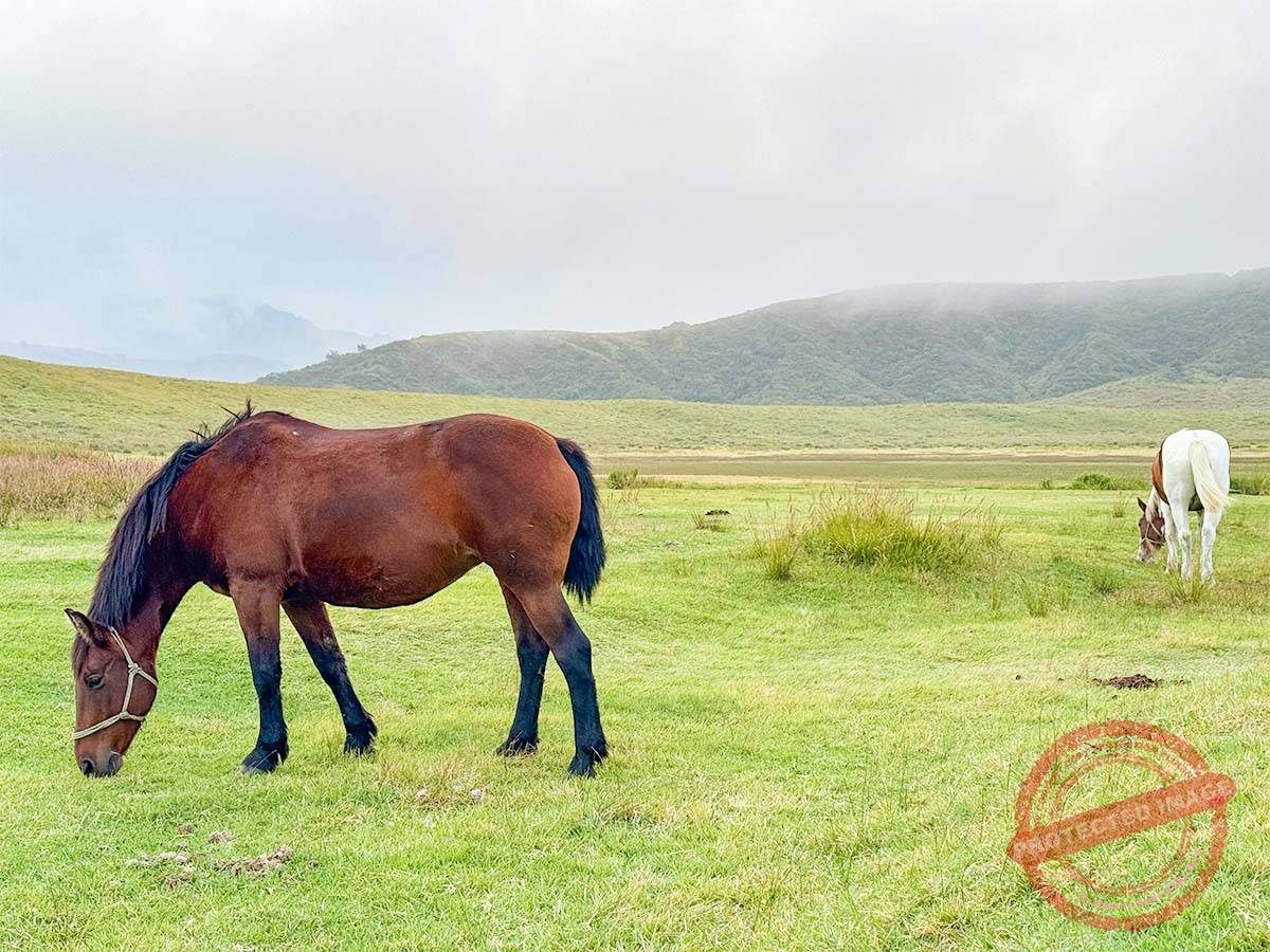 写真 10-20-25 17 07 32