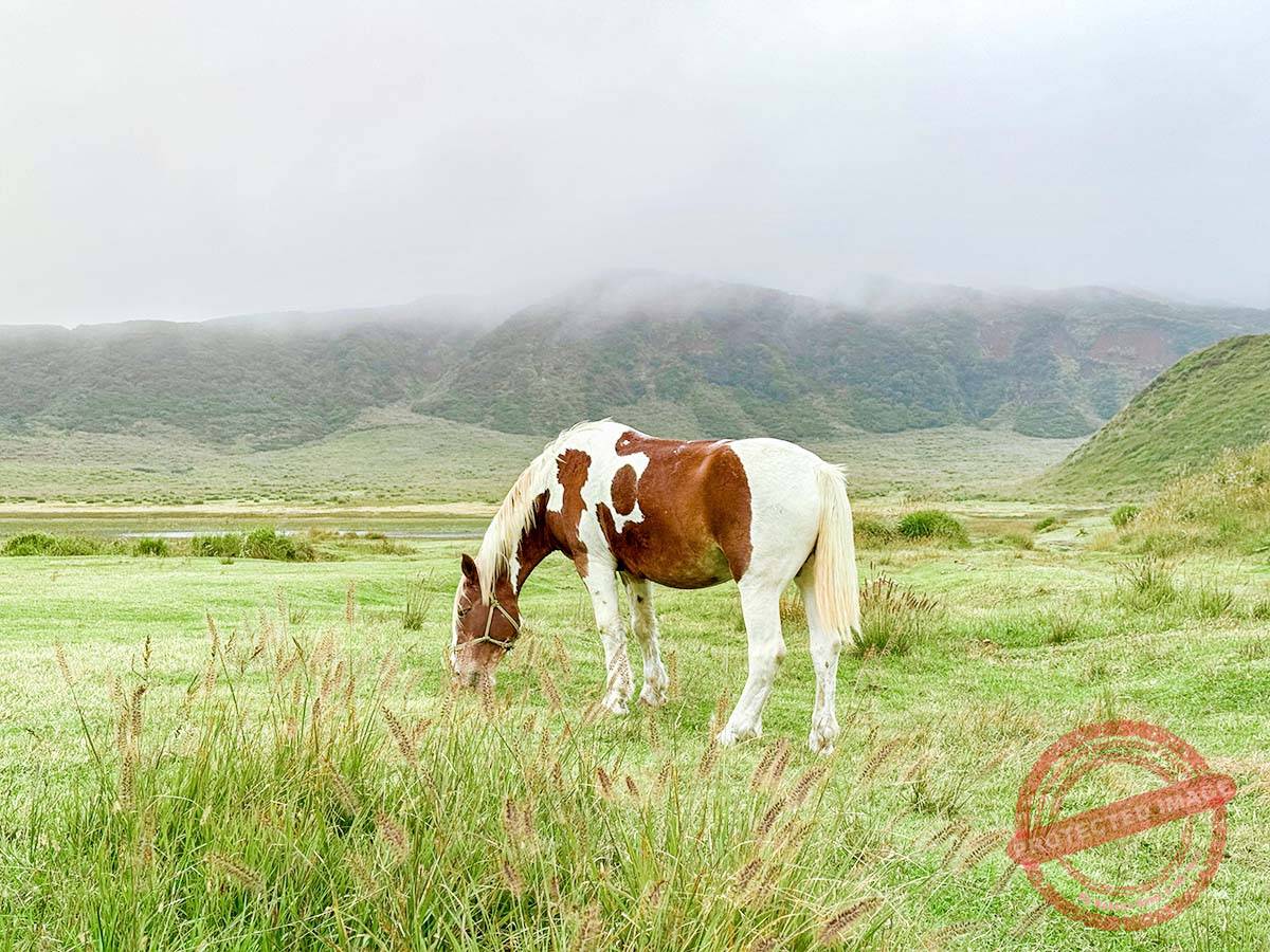 写真 10-20-25 17 10 05