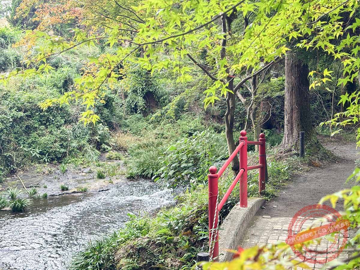 写真 10-21-25 15 24 35