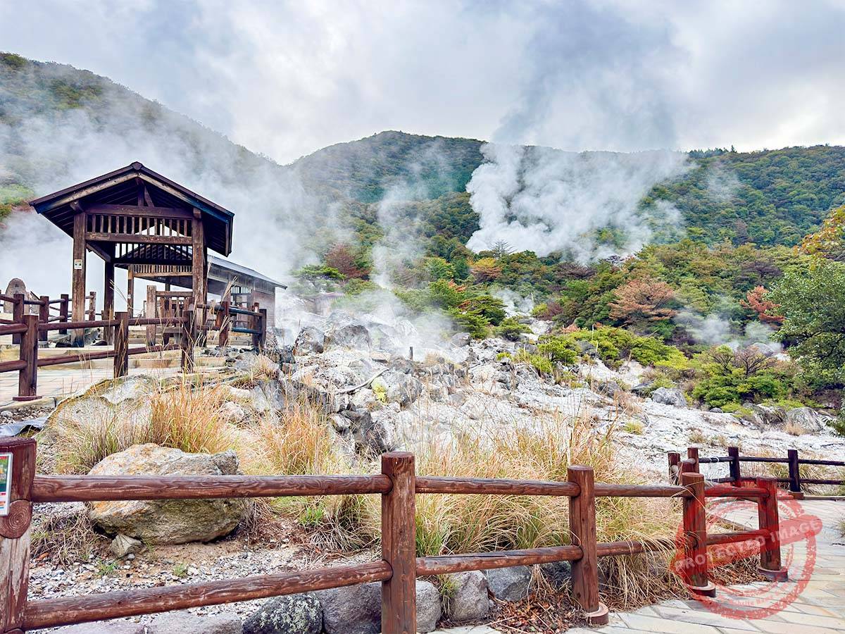 写真 10-23-25 7 52 23