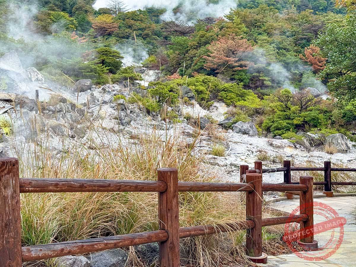 写真 10-23-25 7 52 30