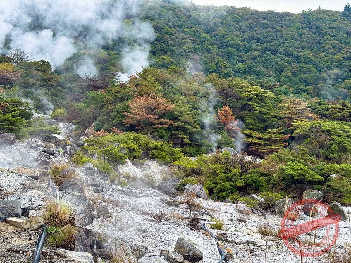 写真 10-23-25 7 53 00