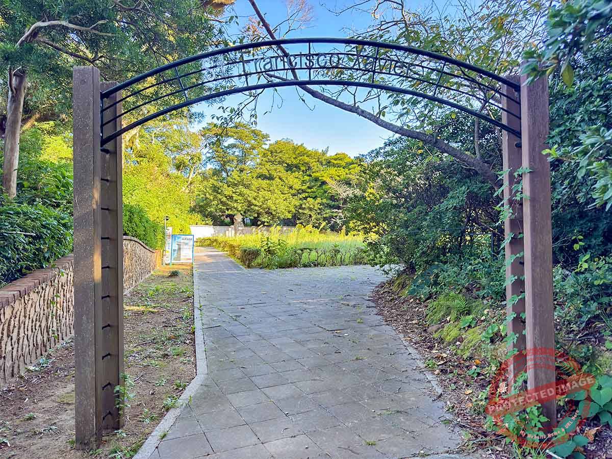 写真 10-24-25 8 57 39