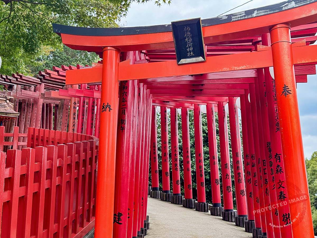 写真 10-25-25 12 47 36