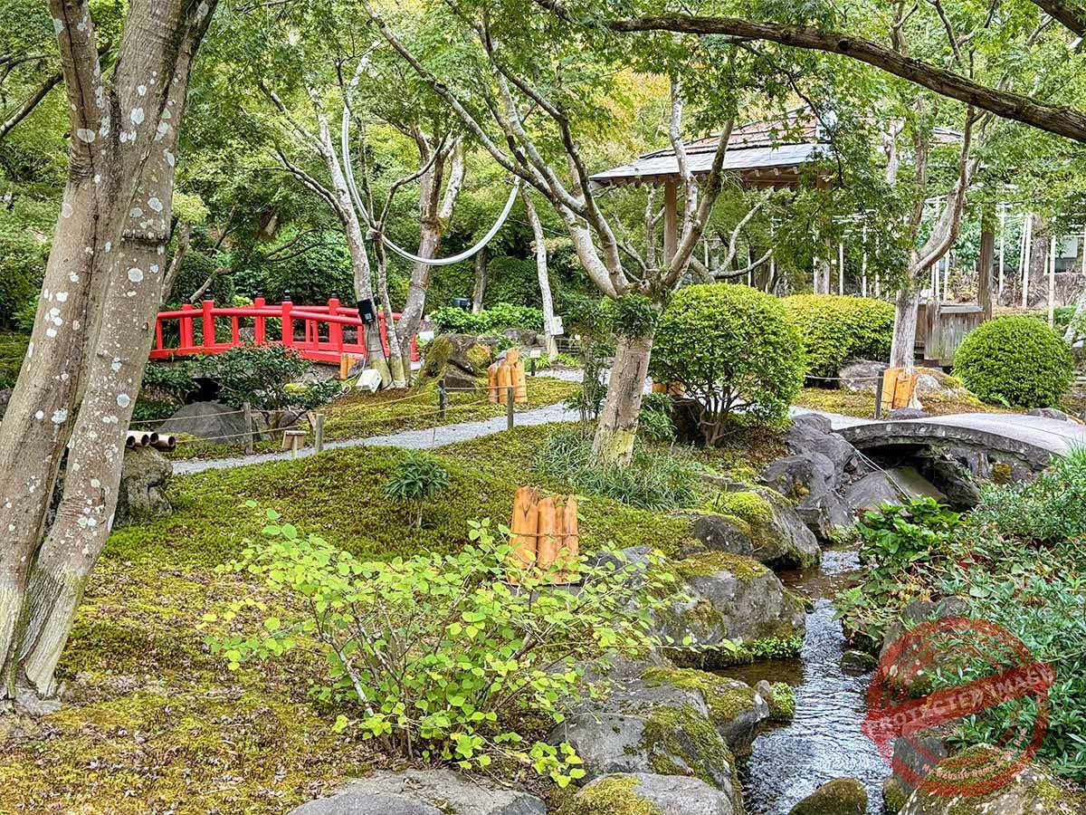 写真 10-25-25 13 19 47