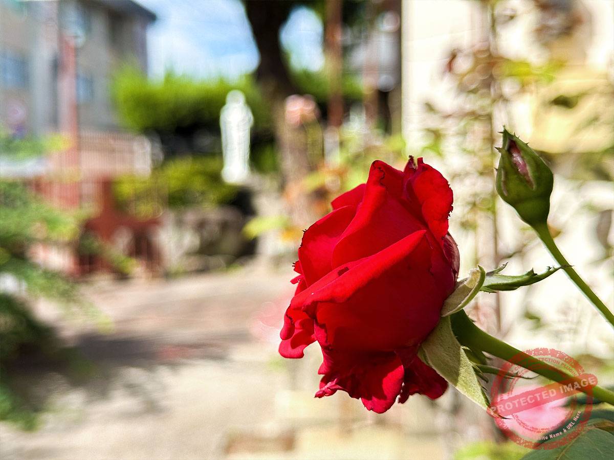 写真 10-26-25 10 33 46