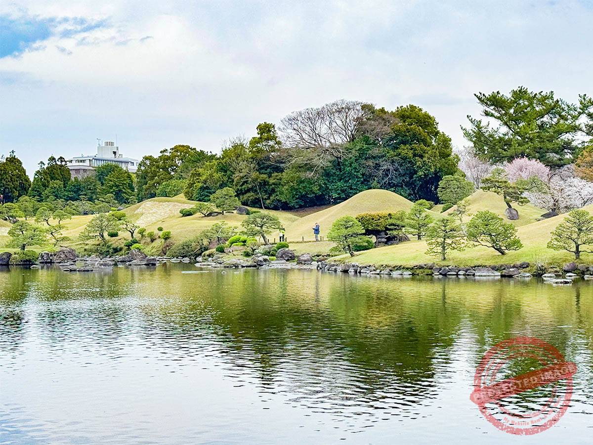 写真 3-29-25 16 06 51