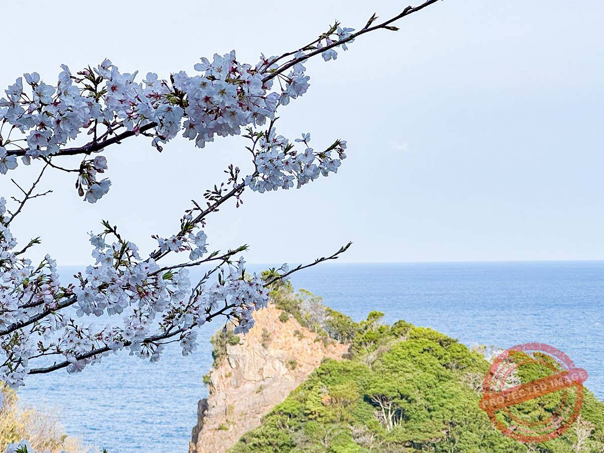 写真 3-29-25 8 34 34