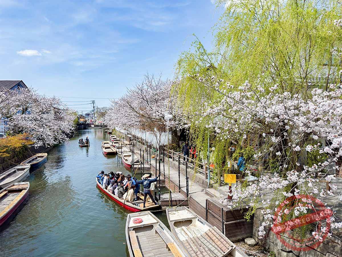 写真 3-30-25 12 06 11★