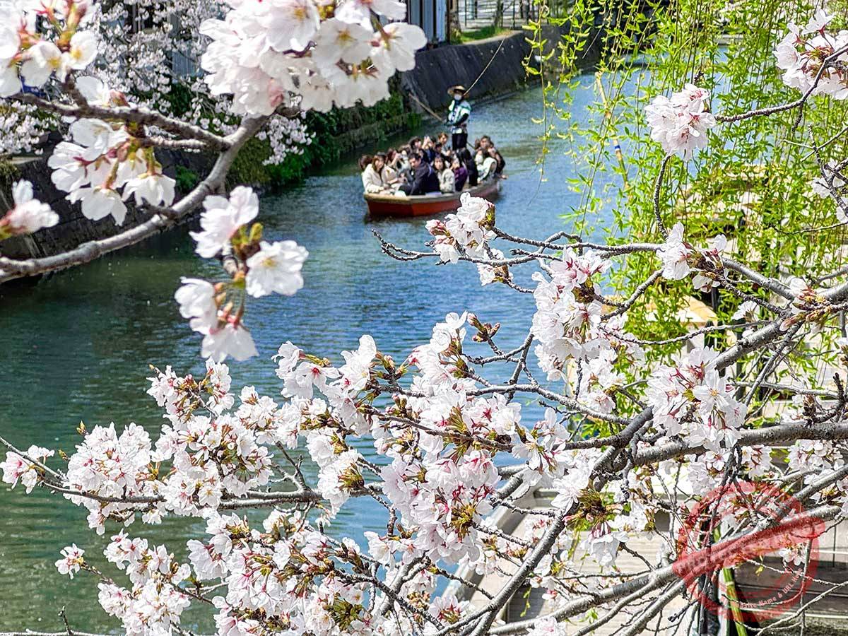 写真 3-30-25 12 11 38