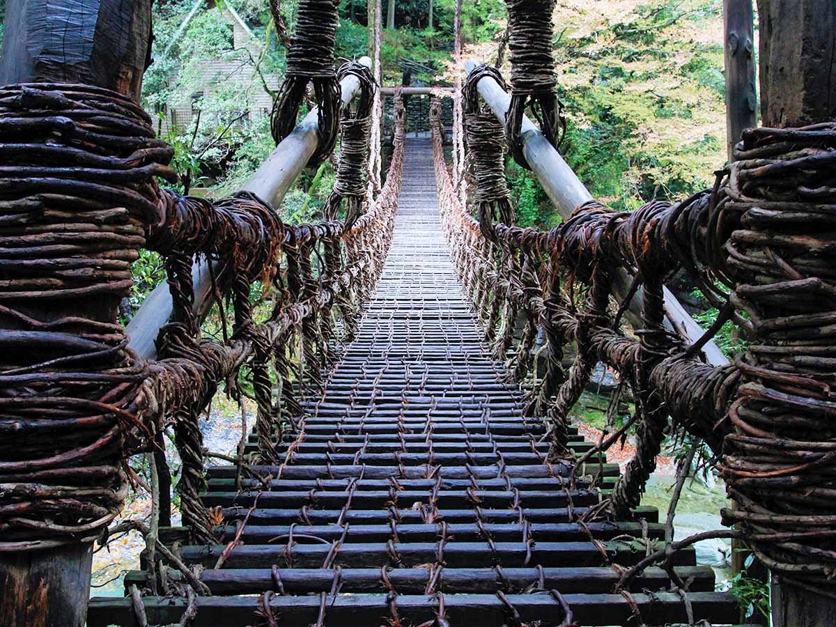 徳島　祖谷のかずら橋288935_l