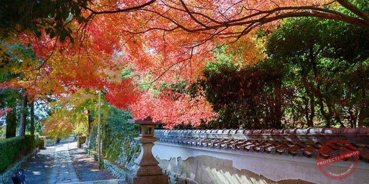 The Celestial Peak of Heritage and Color